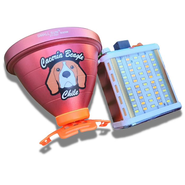 Nuevo Foco Oficial 800W