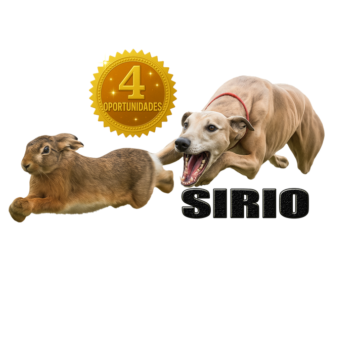 PREVENTA STICKER RIFA AÑO 2026 CACERIA BEAGLE CHILE